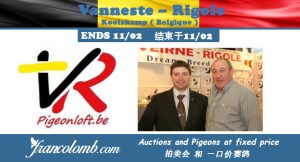 Vente : Tandem Vanneste – Rigole (BE)