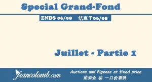 Vente : Special Grand-fond Juillet – Partie 1
