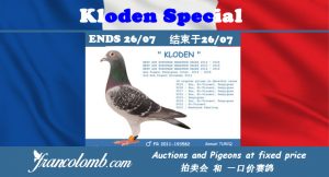 Vente FLASH : Spécial Kloden