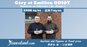 Vente : Géry et Emilien ODIOT de Taisnières en Thiérache : Vente de 15 Jeunes 2020