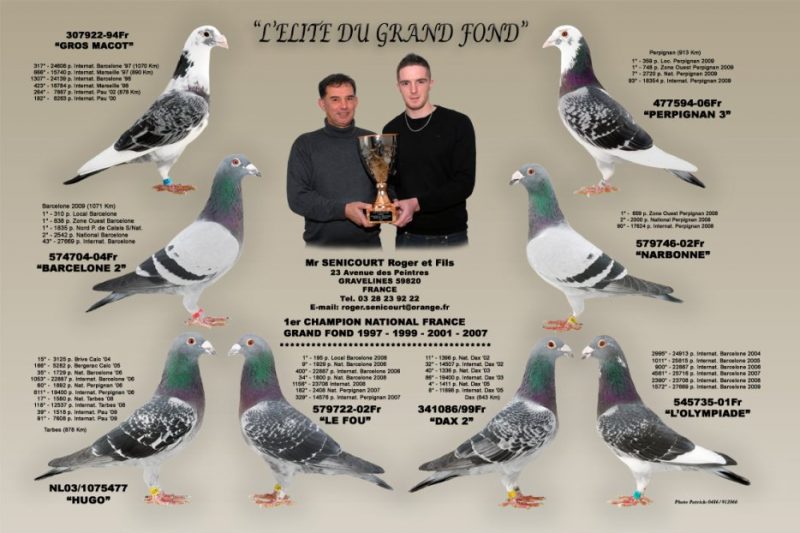 Senicourt roger et fils