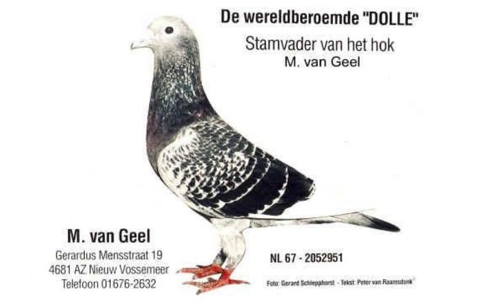 vangeel_Dolle