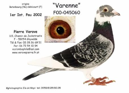 verove Varenne 1er Pau 2002