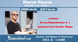 Vente Flash : Pierre Verove de Ghyvelde (59)